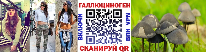Псилоцибиновые грибы MAGIC MUSHROOMS  Купить закладки  Сураж 