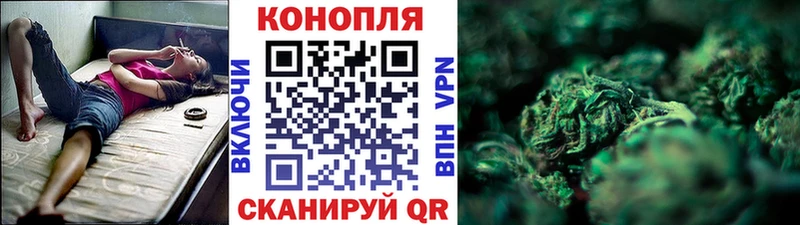 Купить закладки  Сураж  МАРИХУАНА THC 21% 